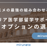 イタリア医学部留学サポートの追加オプションの選び方【代表オススメの最強の組み合わせとは？】